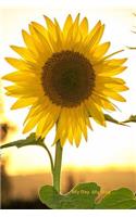 My Day My Way: Sunflower Cover Undated Weekly Planner with Room for Notes and Action Plans