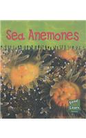 Read and Learn: Ooey-Gooey Animals - Sea Anemones