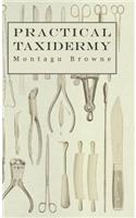 Practical Taxidermy - A Manual of Instruction To The Amateur In Collecting, Preserving, And Setting Up Natural History Specimens of All Kinds: (English)