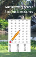 Number Word Search Book Fun Mind Games