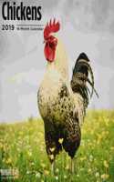 Chickens 2019