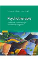 Psychotherapie Funktions- Und Störungsorientiertes Vorgehen