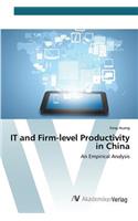 IT and Firm-level Productivity in China