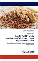 Single Cell Protein Production of Wheat Bran by Fermentation