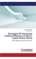 Strategies Of Improving Turbine Efficiency In Micro-hydro Power Plants