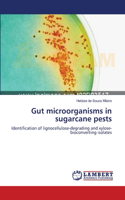 Gut microorganisms in sugarcane pests