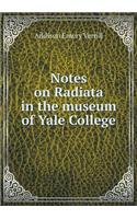 Notes on Radiata in the Museum of Yale College