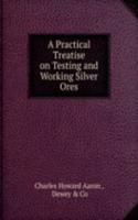 Practical Treatise on Testing and Working Silver Ores