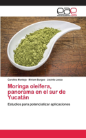 Moringa oleífera, panorama en el sur de Yucatán