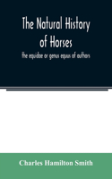 natural history of horses
