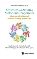 Structure and Action of Molecular Chaperones: Machines That Assist Protein Folding in the Cell