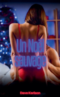 Un Noël sauvage