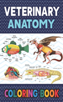 Veterinary Anatomy Coloring Book