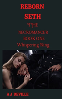 Reborn Seth The Necromancer