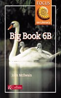 Big Book 6B: Lively texts and vibrant illustrations support shared reading and writing: Book 39 (Focus on Literacy)