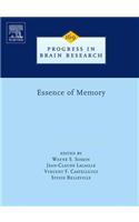 Essence of Memory