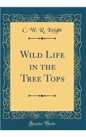 Wild Life in the Tree Tops (Classic Reprint)
