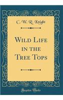 Wild Life in the Tree Tops (Classic Reprint)