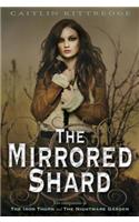 The Mirrored Shard: The Iron Codex Book Three: (3 The Iron Codex)
