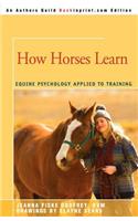 How Horses Learn