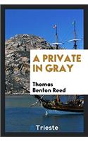 A Private in Gray