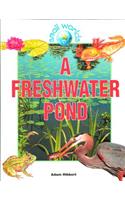 Freshwater Pond