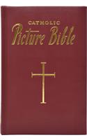 New Catholic Picture Bible: Popular Stories from the Old and New Testaments