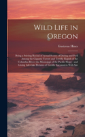 Wild Life in Oregon