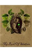 My Book Of Shadows: A Journal for Writing Spells, Rituals, and Incantations