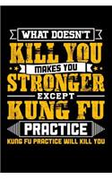What doesn't kill you makes you stronger except Kung Fu practice Kung Fu practice will kill you