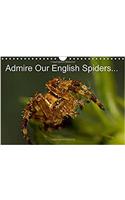 Admire Our English Spiders 2017