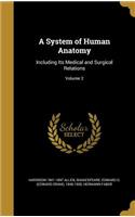 A System of Human Anatomy