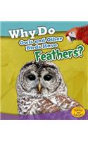 Why Do Owls and Other Birds Have Feathers?