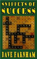Snippets Of Success