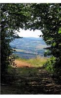 View Through the Trees to a Meadow in Spring Journal: 150 Page Lined Notebook/Diary