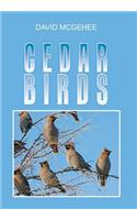 Cedar Birds