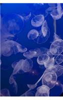 So Awesome White Translucent Moon Jellyfish in an Aquarium Journal: 150 Page Lined Notebook/Diary
