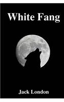 White Fang