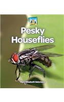 Pesky Houseflies