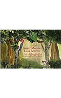 Lunar Mooner Lula Learns: A Few Life Lessons That Arent Just for the Birds