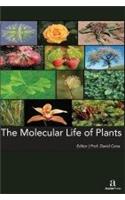 THE MOLECULAR LIFE OF PLANTS