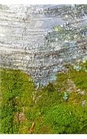 2020 Weekly Planner Moss Birch Tree Bark Photo 134 Pages: 2020 Planners Calendars Organizers Datebooks Appointment Books Agendas