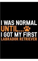 I Was Normal Until I Got My First Labrador Retriever