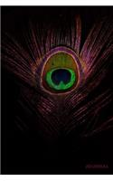 Journal: Peacock Feather Notebook, 6x9, 240 Pages