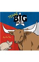 Texas Animals Big & Small