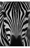 Zebra Notebook: 150 lined pages, softcover, 6 x 9