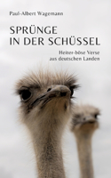 Sprünge in der Schüssel - 148 zeitgeistkritische Gedichte im Stil von Limericks
