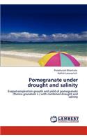 Pomegranate Under Drought and Salinity: (English)