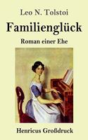 Familienglück (Großdruck): Roman einer Ehe