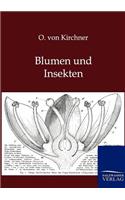Blumen und Insekten
